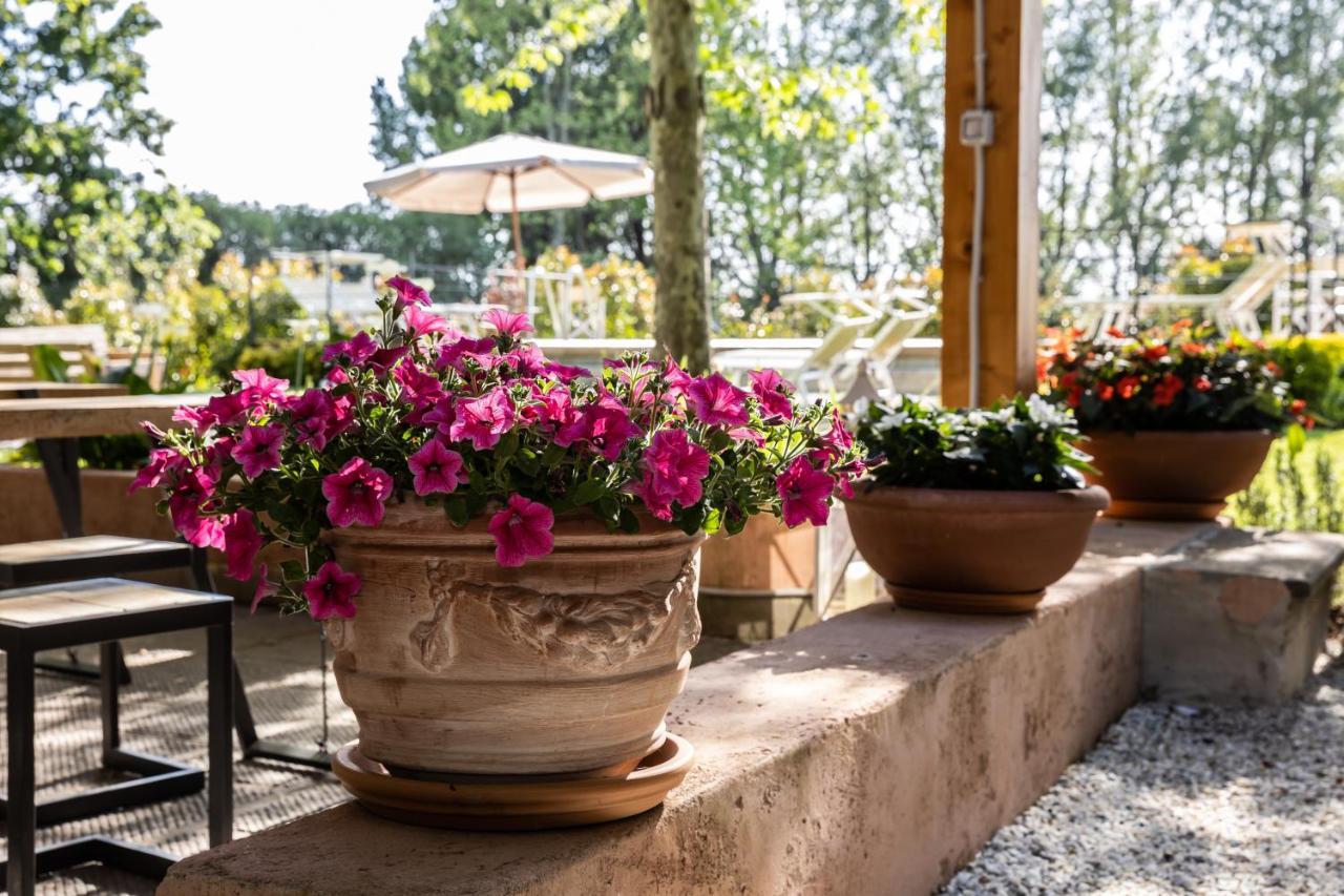 Vecchio Granaio Bed and Breakfast Πίζα Εξωτερικό φωτογραφία