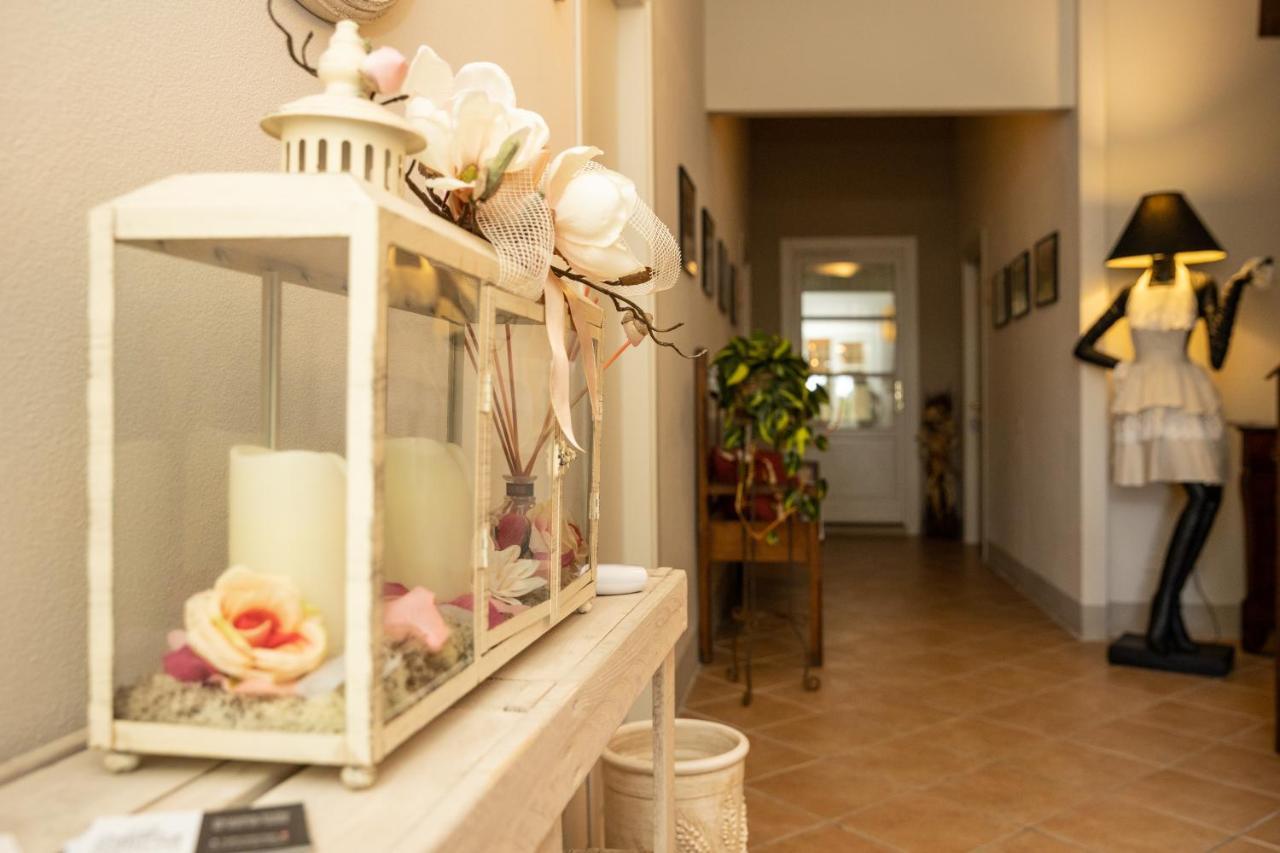 Vecchio Granaio Bed and Breakfast Πίζα Εξωτερικό φωτογραφία